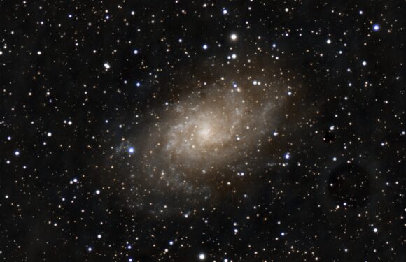 09/09/2024 – The Triangulum Galaxy