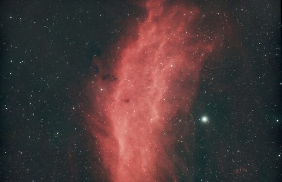 11/29/2024 – NGC 1499 The California Nebula