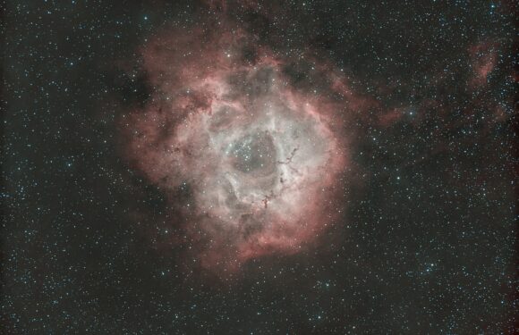 12/30/2024 – The Rosette Nebula