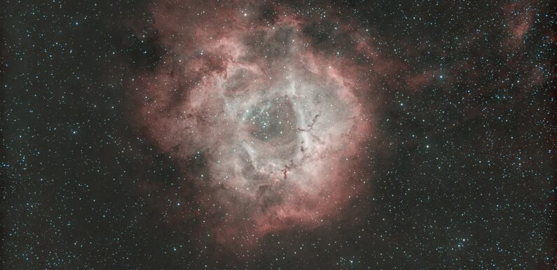 12/30/2024 – The Rosette Nebula