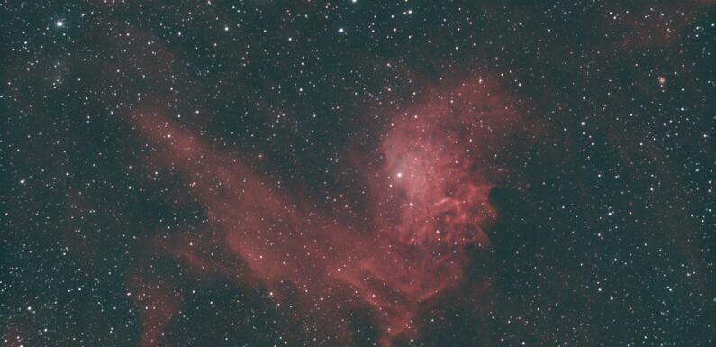 12/07/2024 – The Flaming Star Nebula